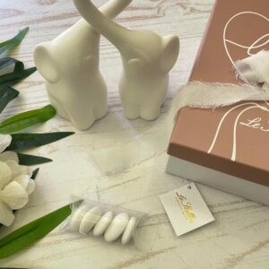 Coppia Elefantini in Porcellana – Le Stelle